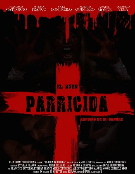 Постер: El buen parricida