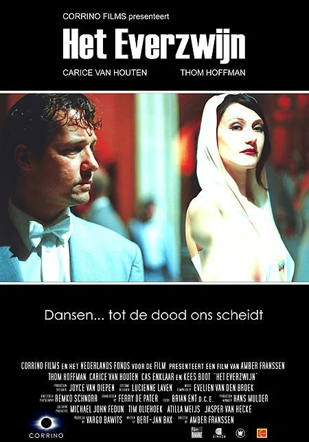 Постер: Het everzwijn