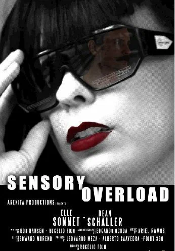 Постер: Sensory Overload