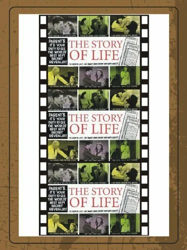 Постер: The Story of Life