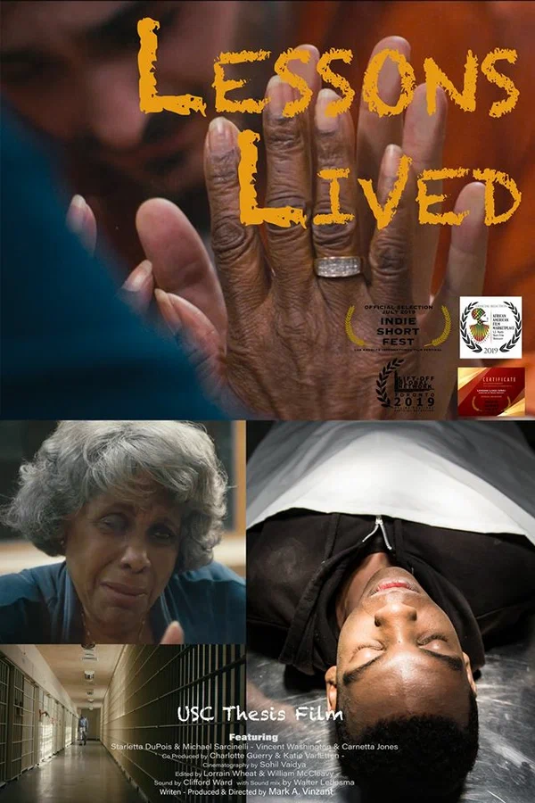 Постер: Lessons Lived