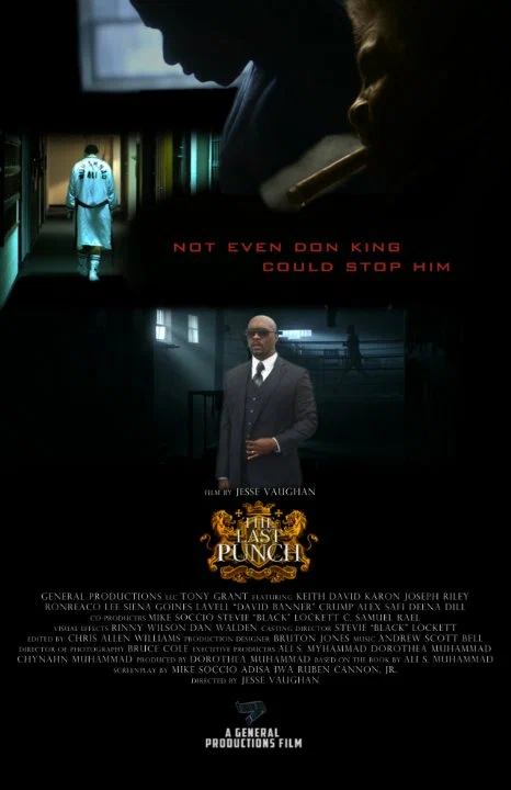 Постер: The Last Punch