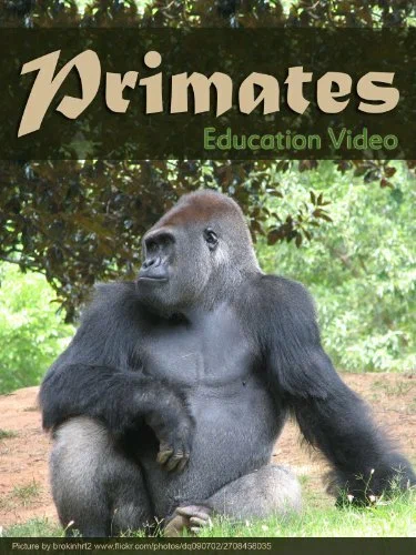Постер: Primats