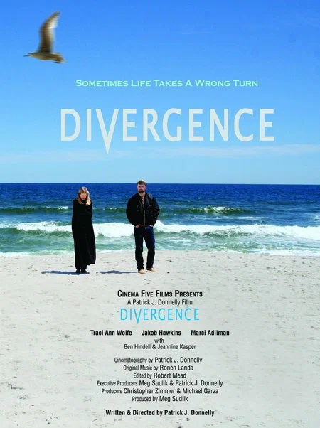 Постер: Divergence