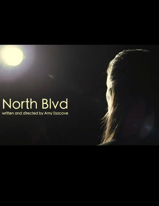 Постер: North Blvd