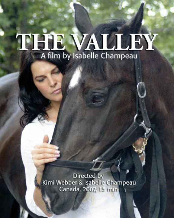 Постер: The Valley