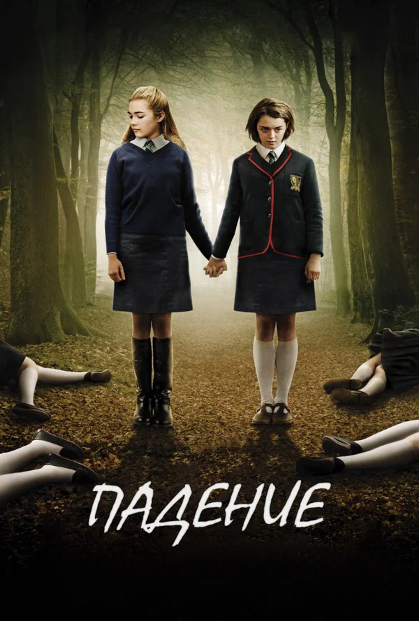 Постер: Падение