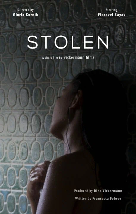 Постер: Stolen