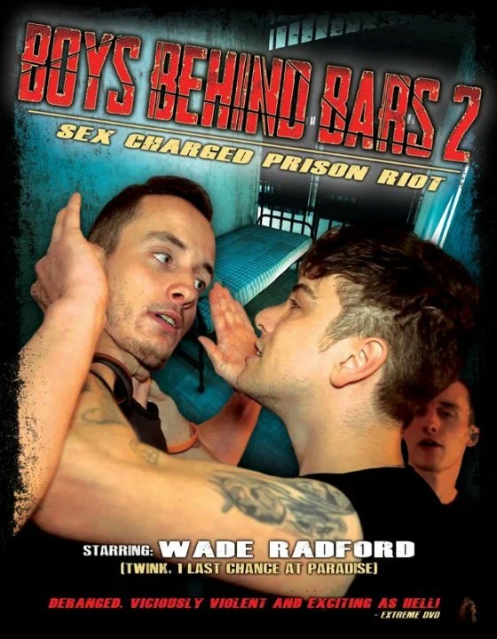 Постер: Boys Behind Bars 2