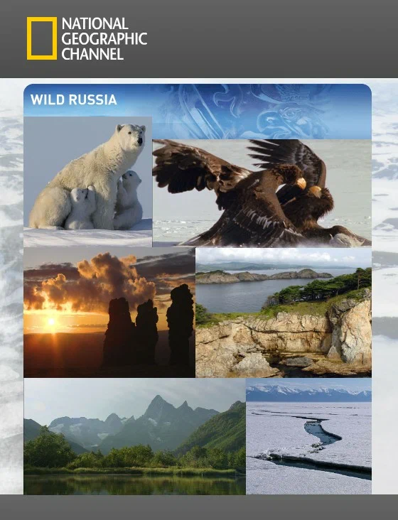 Постер: Дикая природа России