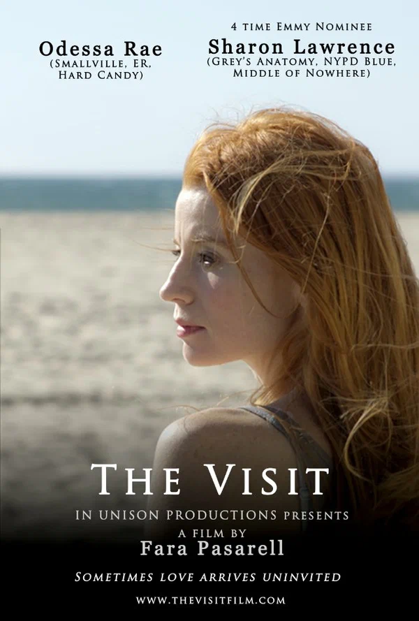 Постер: The Visit