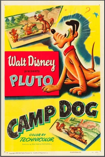 Постер: Camp Dog
