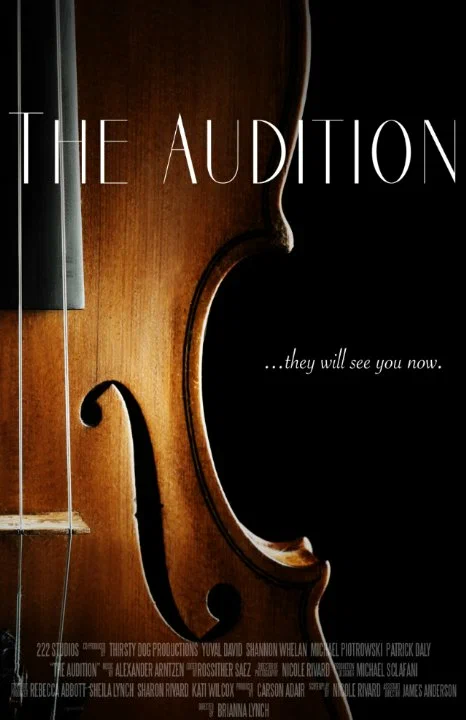 Постер: The Audition