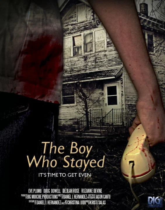 Постер: The Boy Who Stayed