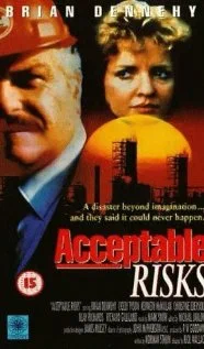 Постер: Acceptable Risks