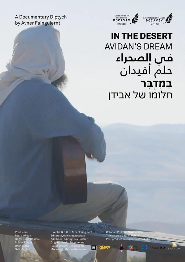 Постер: In the Desert - A Documentary Diptych: Avidan's Dream