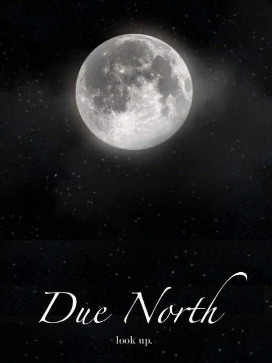 Постер: Due North