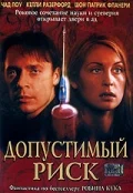 Постер: Допустимый риск
