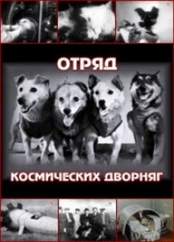 Постер: Отряд космических дворняг