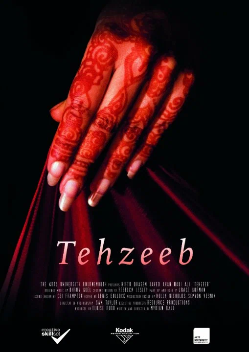 Постер: Tehzeeb