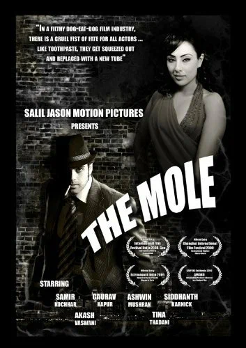Постер: The Mole