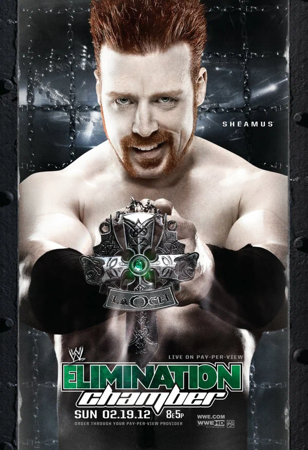 Постер: WWE Камера ликвидации
