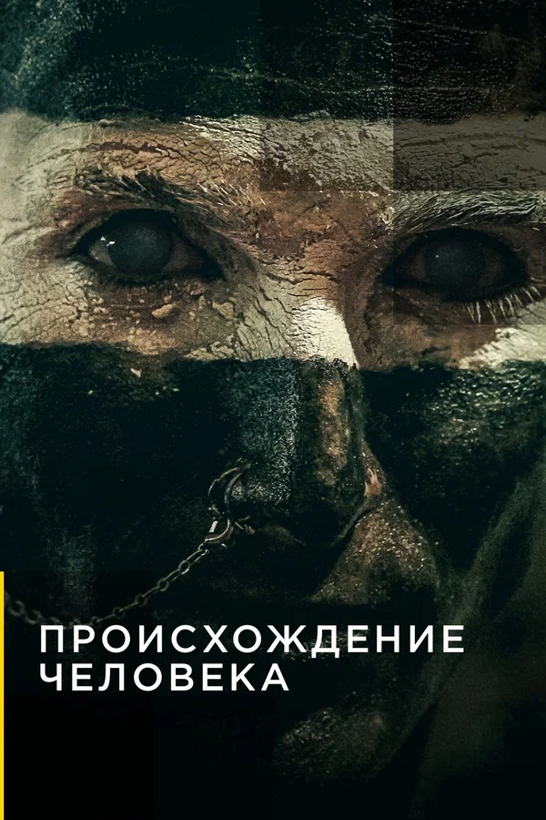 Постер: Происхождение человека