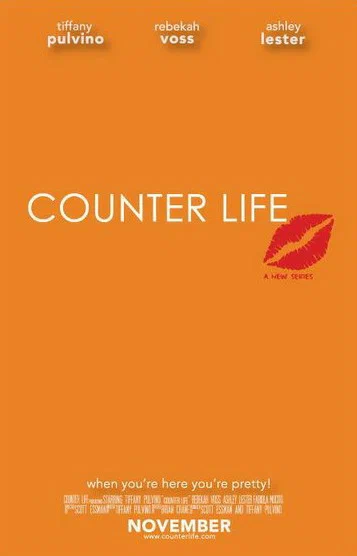 Постер: Counter Life