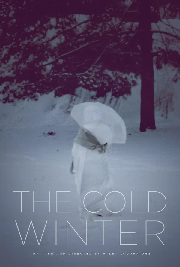 Постер: The Cold Winter