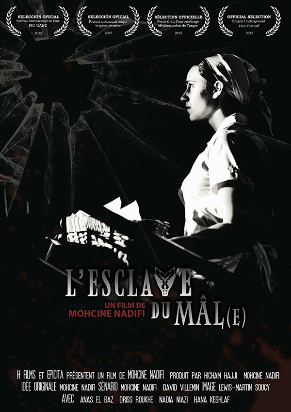 Постер: L'esclave du mâle