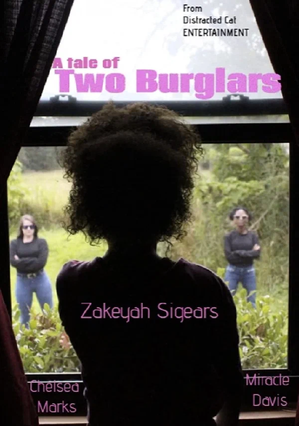 Постер: A Tale of Two Burglars