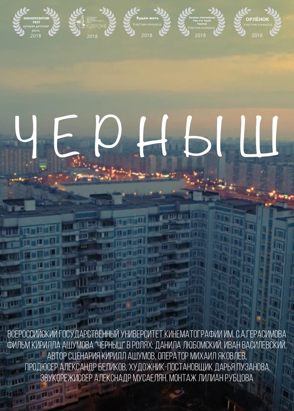 Постер: Черныш