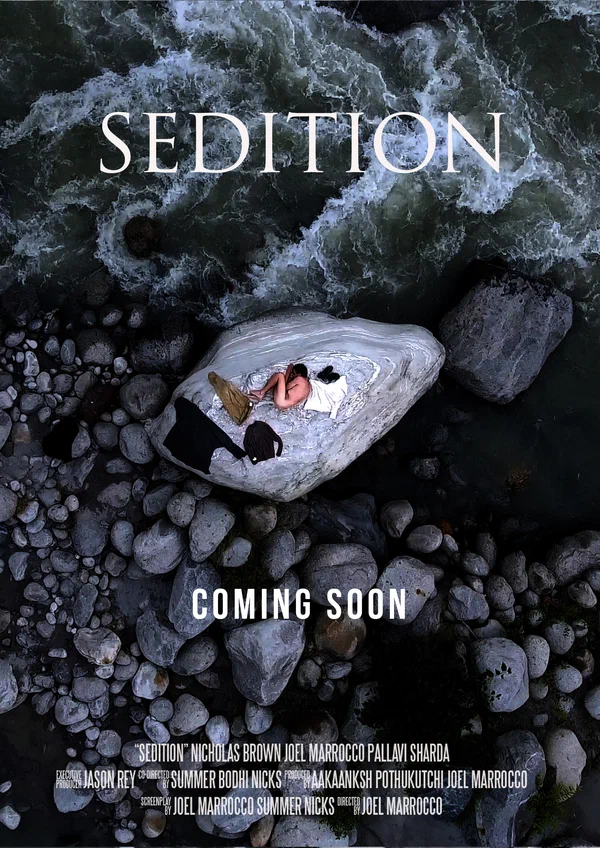 Постер: Sedition