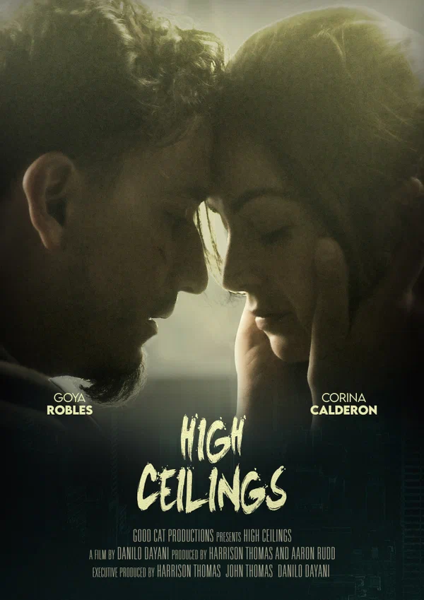 Постер: High Ceilings