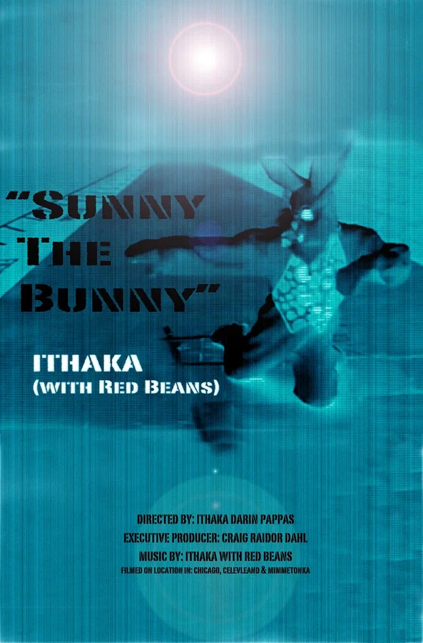 Постер: Sunny the Bunny