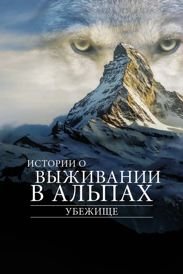 Постер: Убежище. Истории о выживании в Альпах
