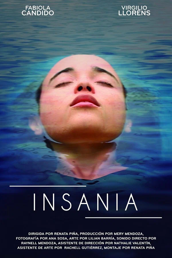 Постер: Insania