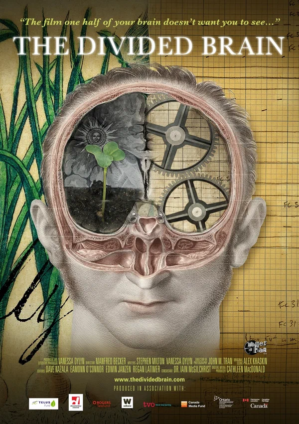 Постер: The Divided Brain