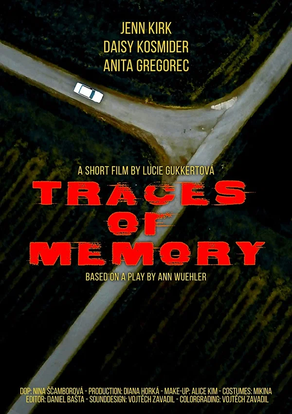 Постер: Traces of Memory
