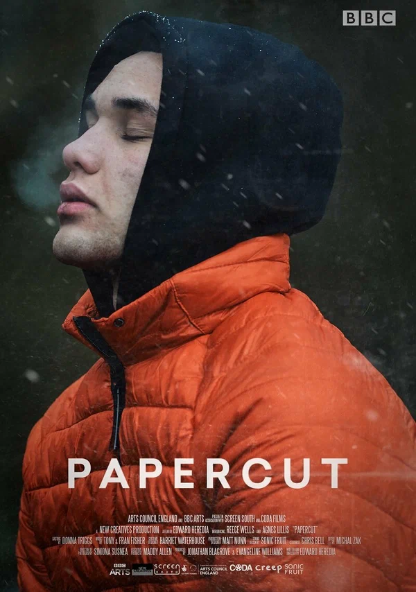 Постер: Papercut