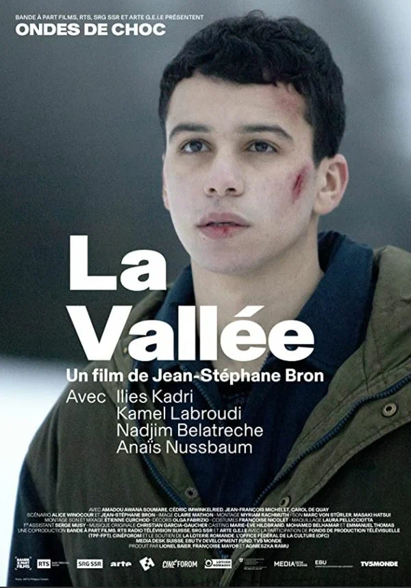 Постер: La Vallée