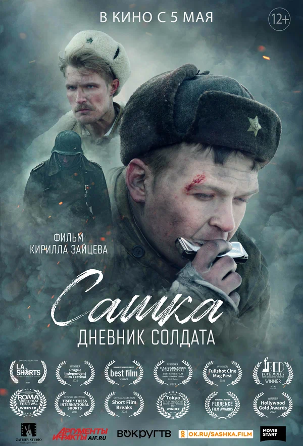 Постер: Сашка. Дневник солдата