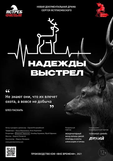 Постер: Надежды выстрел