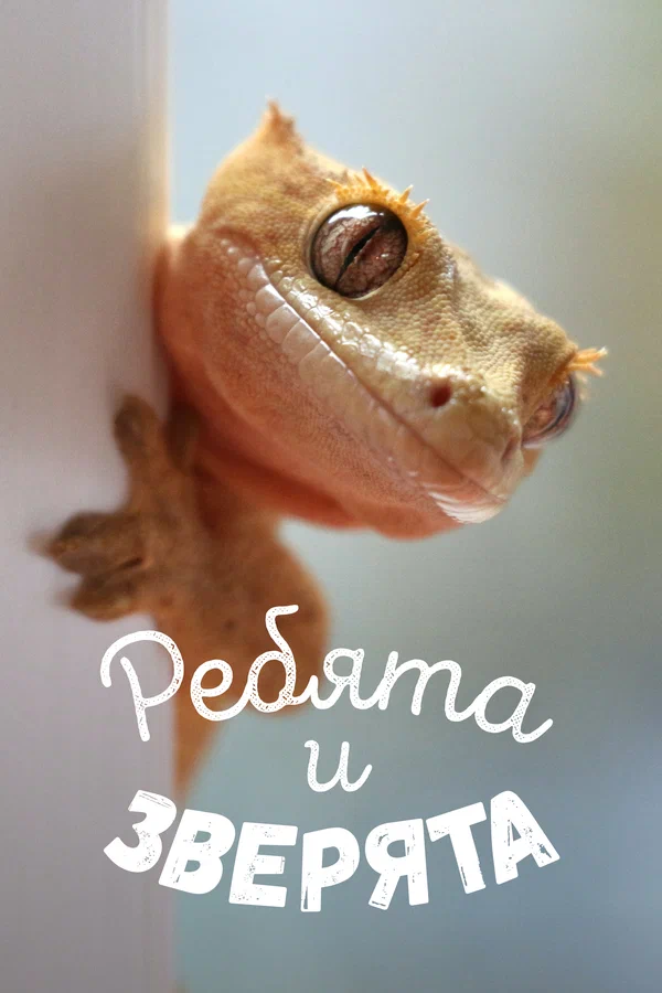 Постер: Ребята и зверята