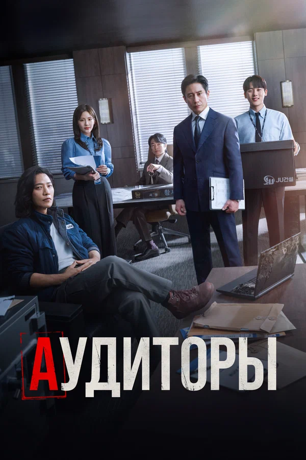 Постер: Аудиторы