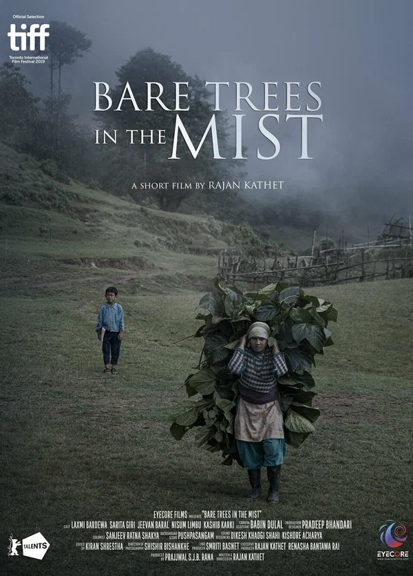 Постер: Bare Trees in the Mist