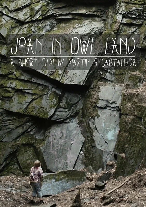 Постер: Joan in Owl Land
