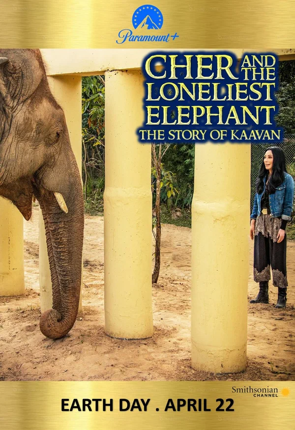 Постер: Cher and the Loneliest Elephant