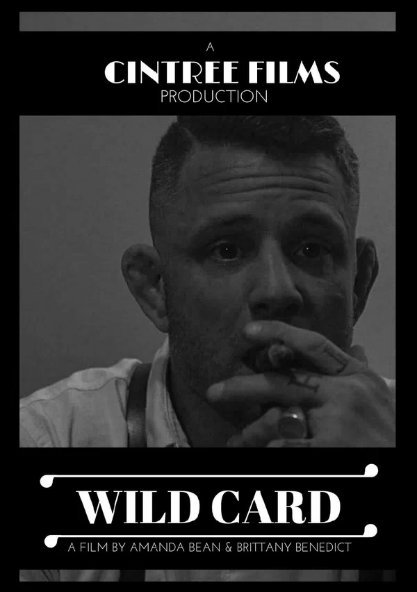 Постер: Wild Card