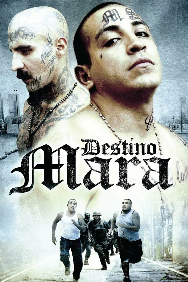 Постер: Destino Mara